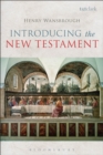 Image for Introducing the New Testament