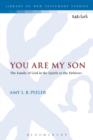 Image for You are my son  : the family of God in the epistle to the Hebrews