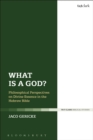 Image for What is a god?: philosophical perspectives on divine essence in the Hebrew Bible