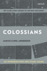 Image for Colossians: an introduction and study guide : authorship, rhetoric, and code