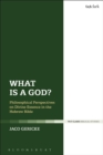 Image for What is a God?  : philosophical perspectives on divine essence in the Hebrew Bible