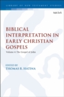 Image for Biblical Interpretation in Early Christian Gospels: Volume 4: The Gospel of John