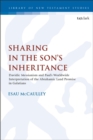 Image for Sharing in the son&#39;s inheritance: Davidic messianism and Paul&#39;s worldwide interpretation of the Abrahamic land promise in Galatians