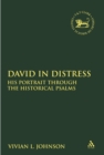 Image for David in Distress