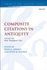 Image for Composite citations in antiquityVolume 2,: New Testament uses