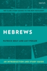 Image for Hebrews  : an introduction and study guide