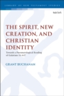 Image for The spirit, new creation, and Christian identity  : towards a pneumatological reading of Galatians 3:1-6:17