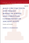 Image for Male Circumcision and Female Bodies in Jewish and Christian Communities of Ancient Egypt