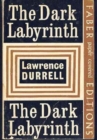 Image for Dark Labyrinth