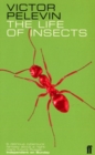 Image for The Life of Insects