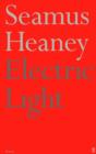 Image for Electric light