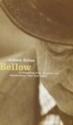 Image for Bellow  : a biography