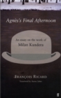 Image for Agnáes&#39;s final afternoon  : an essay on the work of Milan Kundera