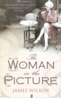 Image for The woman in the picture  : a novel
