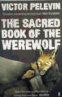 Image for The sacred book of the werewolf