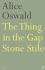 Image for The Thing in the Gap Stone Stile