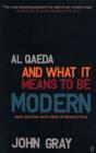 Image for Al Qaeda and What It Means to be Modern
