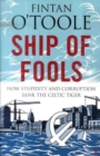 Image for Ship of Fools : How Corruption and Stupidity Killed the Celtic Tiger