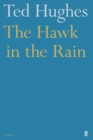Image for The hawk in the rain