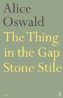 Image for The thing in the gap-stone stile
