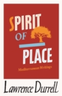 Image for Spirit of Place: Letters and Essays on Travel
