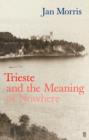 Image for Trieste and the meaning of nowhere