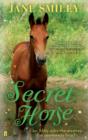 Image for Secret horse