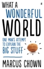Image for What a wonderful world  : one man&#39;s attempt to explain the big stuff