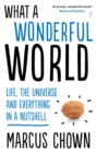 Image for What a wonderful world  : one man&#39;s attempt to explain the big stuff