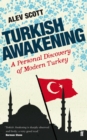 Image for Turkish awakening