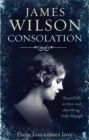 Image for Consolation: a novel of mystery