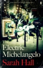 Image for The electric Michelangelo