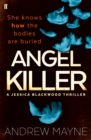 Image for Angel killer