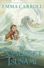 Image for The Somerset tsunami