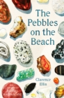 Image for The pebbles on the beach  : a spotter's guide