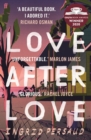 Image for Love after love