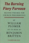 Image for The Burning Fiery Furnace