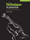 Image for Violin technique in practice