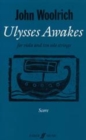Image for Ulysses Awakes