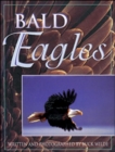 Image for Bald Eagles