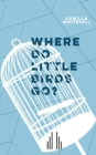 Image for Where Do Little Birds Go?