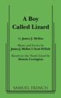 Image for A Boy Called Lizard