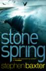 Image for Stone spring