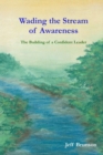 Image for Wading the Stream of Awareness
