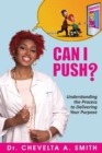 Image for Can I Push? : Understanding the Process to Delivering Your Purpose