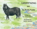 Image for Lightning and the Muddy Puddle