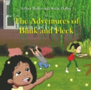 Image for The Adventures of Blink &amp; Fleck