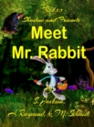 Image for Shadow and Friends Meet Mr. Rabbit