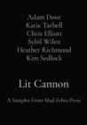 Image for Lit Cannon : A Sampler From Mad Zebra Press