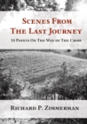 Image for Scenes From The Last Journey